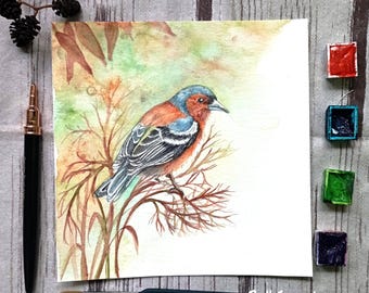 Original Chaffinch Watercolor Painting, Hand Painted 8x8 inch, Garden Bird Wall Art, Birdwatching Gift, One of a Kind Artwork