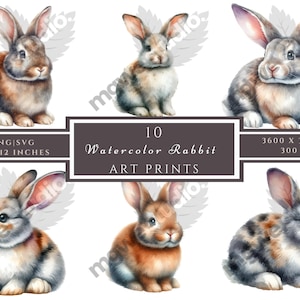 10 PNG/SVG, Watercolor Pastel Rabbit Clipart, Bunnies PNG, Floral bunny clipart, easter bunny png, Bunnies sublimation, cute Bunnies png