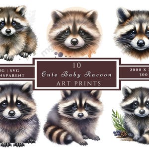 Clipart raton laveur, images de raton laveur mignon, 10 images clipart aquarelle, fichiers JPG imprimables, téléchargement immédiat, usage commercial, créations en papier, journal indésirable