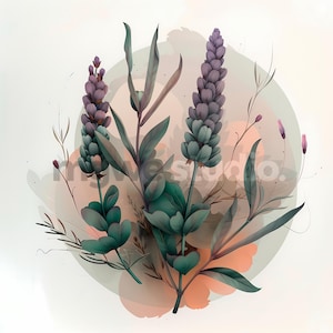 Clipartset aquarel lavendel: bloemen png-afbeeldingen (digitale download)