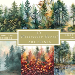 Bos clipart, bos aquarel clipart, bos boslandschap, bos scène graphics, bos boom clipart, wandelpad. Boskunst