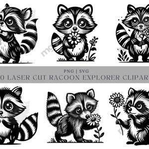 Bundle SVG raton laveur, raton laveur Svg, raton laveur Explorer Svg, raton laveur Png, ratons laveurs Svg Png, raton laveur coupe fichier, Silhouette de raton laveur, raton laveur