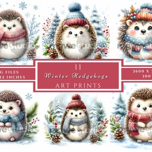 Winter Hedgehog Watercolor Clipart: Printable JPG Images (Digital Download)