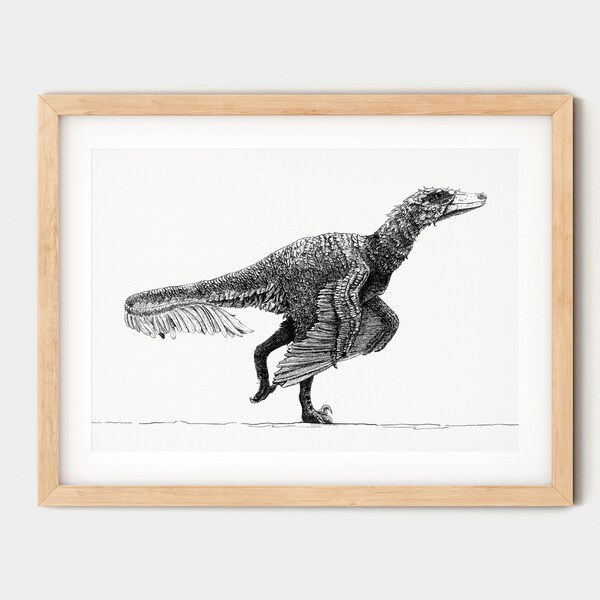 Velociraptor Print, Pen and Ink Drawing, T rex paleoart christmas gift for palaeontologist, dinosaur fan, boys room fossil artwork