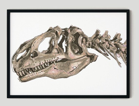 t rex bones drawing - Google Search  Dinosaur drawing, Skull drawing,  Skeleton drawings