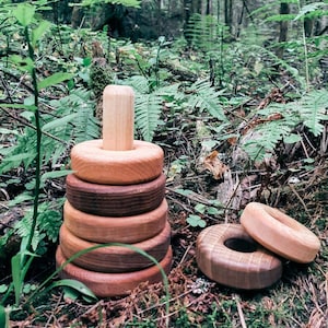 May include: A wooden stacking toy with five rings of different sizes and colors. The rings are stacked on a wooden dowel. The toy is sitting on a bed of green moss.