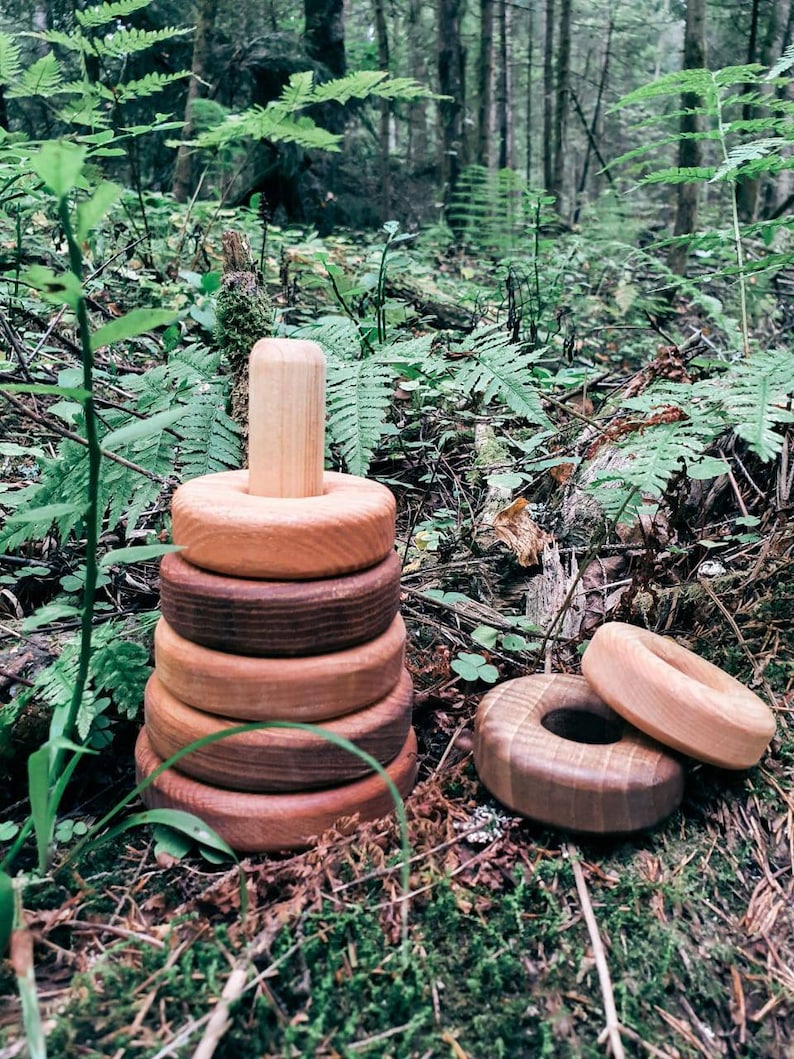 May include: A wooden stacking toy with five rings of different sizes and colors. The rings are stacked on a wooden dowel. The toy is sitting on a bed of green moss.