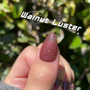 Walnut Luster | Sheer Brown w/ Silver Glitter | Ultra Shine Long Lasting Brush on UV Gels Home Nail DIY False Tips Manicure Nail Art Supply