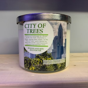 CITY OF TREES Charlotte community inspired 3-wick candle