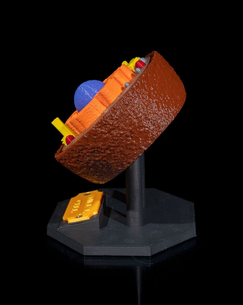 Animal Cell 3d Print Etsy