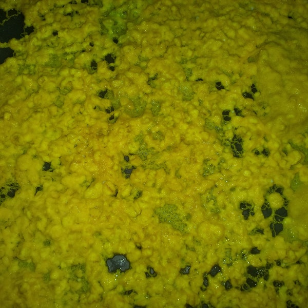Lot of 3 Northern French yellow blob sclerotia