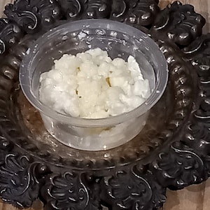Puede incluir: Un recipiente de plástico transparente lleno de granos de kéfir blancos y granulados. El recipiente está sentado en una bandeja de metal decorativa de color marrón oscuro.