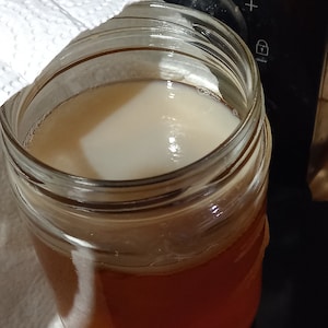 Madre di SCOBY kombucha e antipasto immagine 1