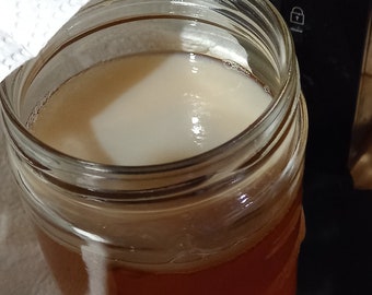 Madre de SCOBY kombucha y entrante.