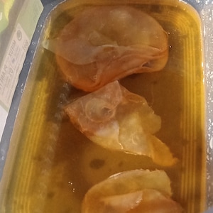 Madre di SCOBY kombucha e antipasto immagine 3