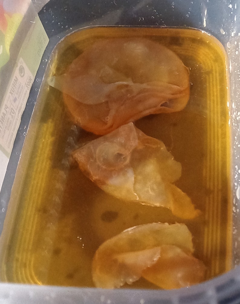 Madre di SCOBY kombucha e antipasto immagine 3