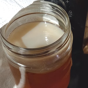Kombucha-Mutter-SCOBY und Starter