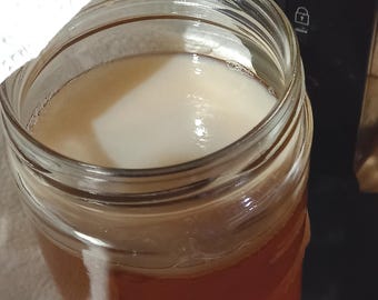 SCOBY kombucha madre e starter
