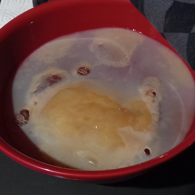 Mère de kombucha SCOBY et starter image 2