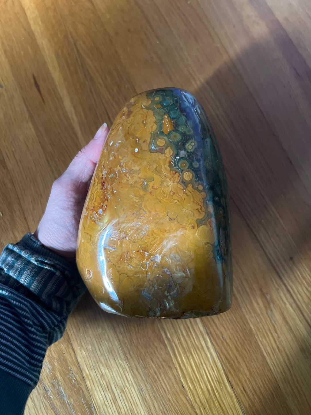 7”>5# Orbicular Orbital Orbs Ocean Jasper Gold Yellow Green Large Big ...