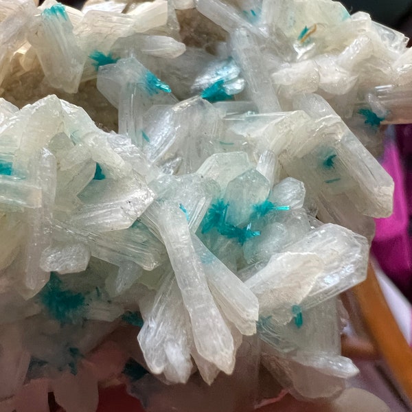 XL Cavansite Pentagonite with Stillbite Stilbite on heulandite matrix Rare Crystal blue white big large huge specimen Pune India Maharashtra