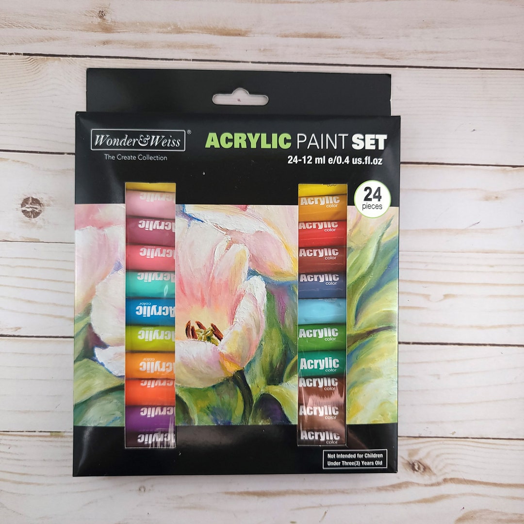 Acrylic Paint Set 24Classic Colors Art Craft Paints for Professional  Artists Kid