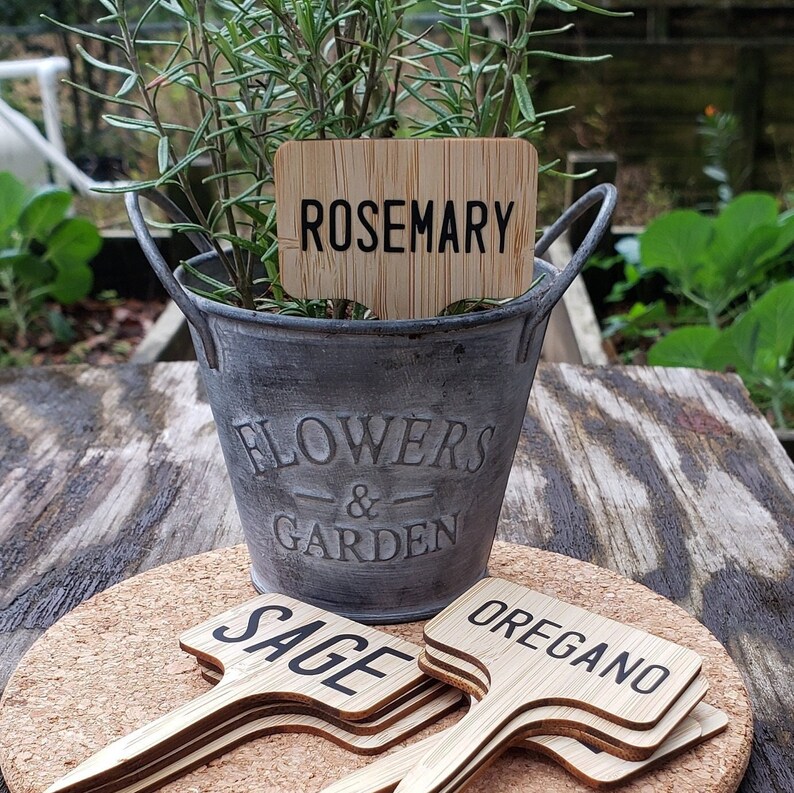 Plant Labels Bamboo Ttype Wooden Plant Signs Tags Garden Etsy
