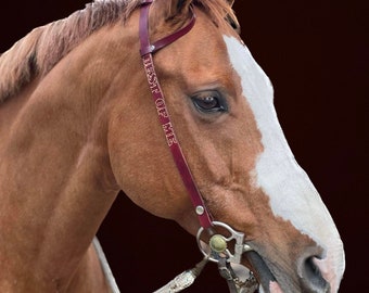 Custom Headstall