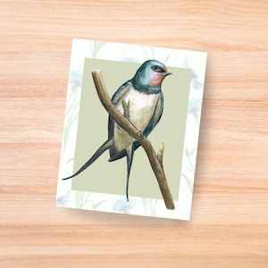 Oiseau Hirondelle rustique | de voeux | Toute occasion