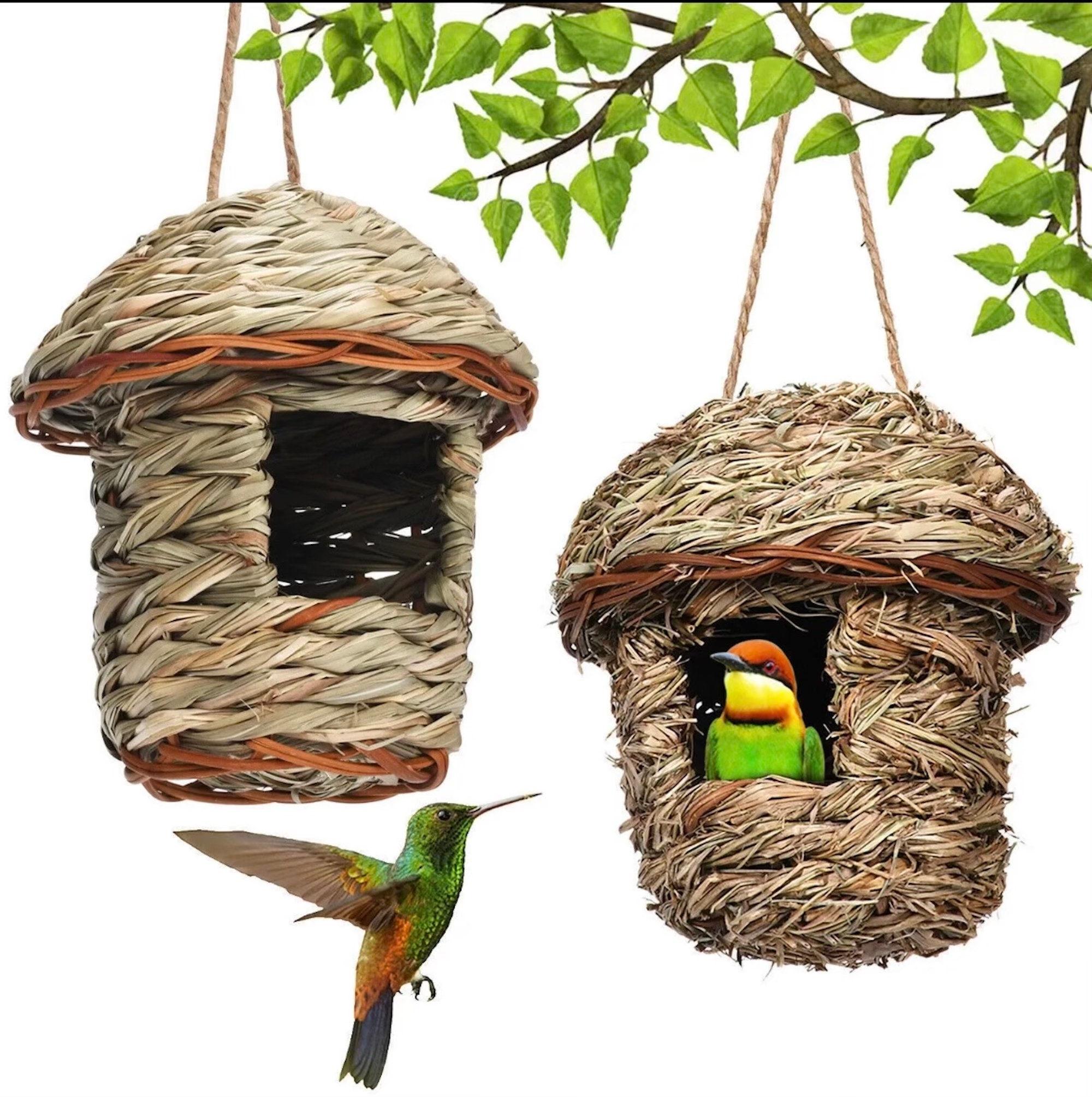 Handwoven Bird House, Natural Grass Finch Bird Nest Shelter Hut, Peanut  Shaped 3 Holes Hanging Bird Hideaway Bird Nest