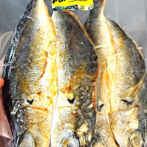 Large Daing Dalagang Bukid 225g | Dried Fish | Daing | Authentic Filipino Food
