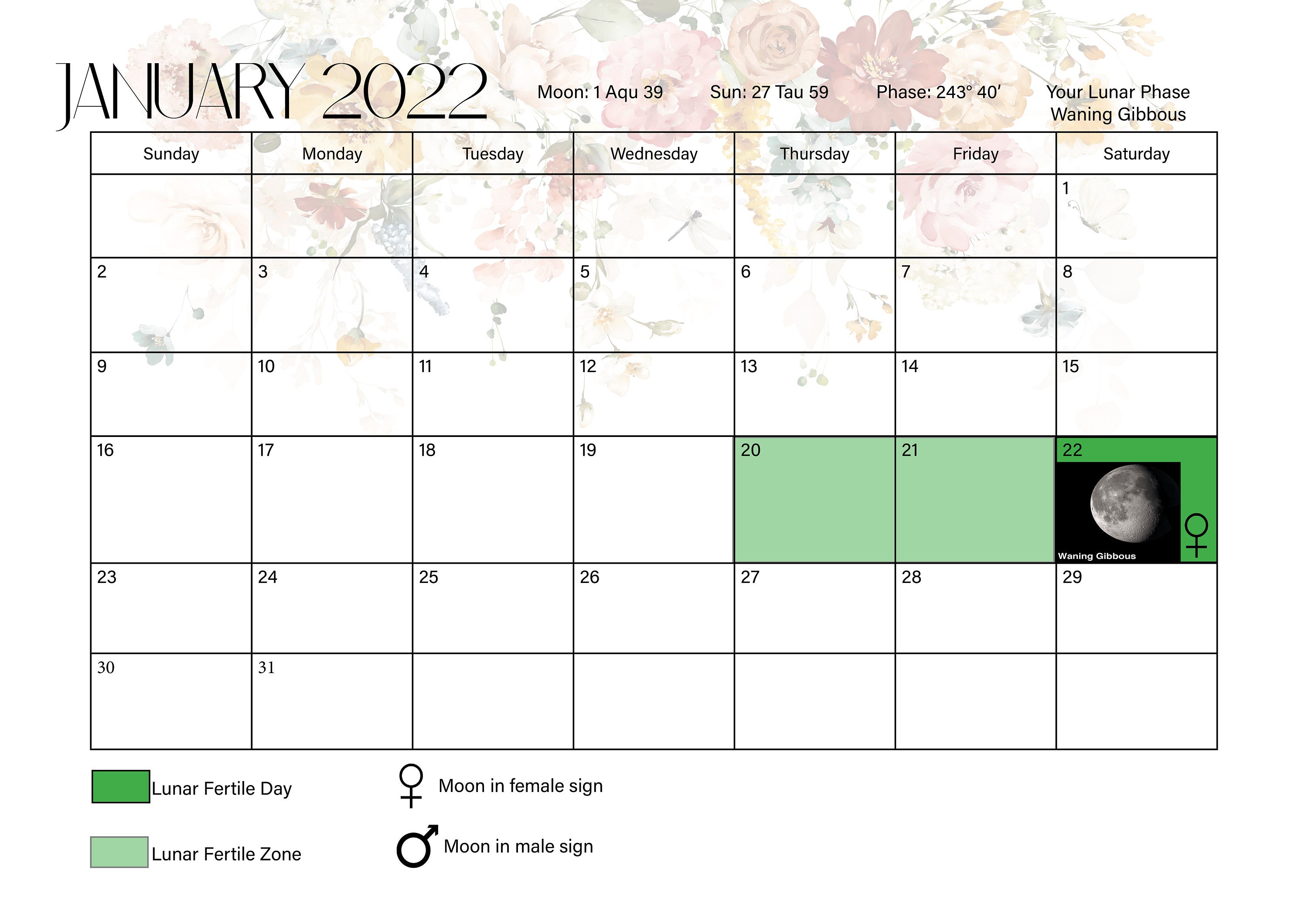 LUNAR FERTILE CALENDAR 6 Month Digital File Etsy
