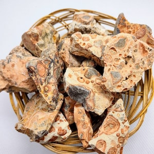 Raw Leopardite Jasper from Peru - leopardite crystal - rough Jasper 1/2lbs bag or single stone