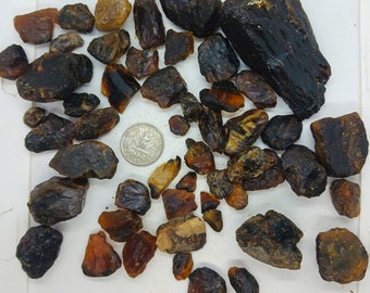 Raw Amber Specimen: Natural Tree Sap Resin (7oz, 50pc)