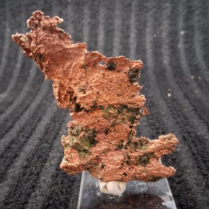 May include: A raw, metallic copper mineral specimen with a jagged, irregular shape. The surface displays a bright, reddish-brown, textured copper finish interspersed with patches of dark green oxidation, mounted on a small white base.