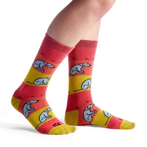 Dog Socks, Funny Socks, Gift for Dog Lover, Made in USA, Socks for a Cause, Unique Socks, Quality Socks, Dog Scooting, Gross Dogs