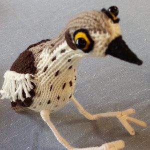 Handmade knit Curlew bird upcycled realistic Australian pet decor birdlover Eco native