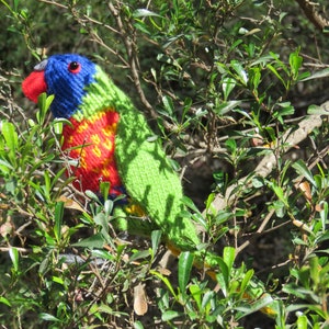 Rainbow Lorikeet parakeet parrot knitted Australian native bird toy home decor