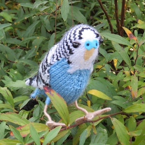Knitted Australian Budgerigar bird