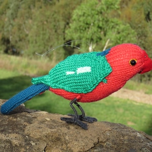King Parrot handmade knit bird