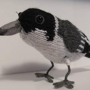 Knitted Australian Butcher Bird