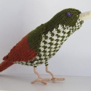Gestrickter australischer Satin Bower Bird
