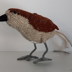 Lyrebird handgestrickter Vogel gebürtiger Australier