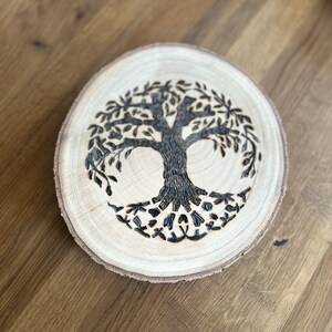 onderzetter levensboom