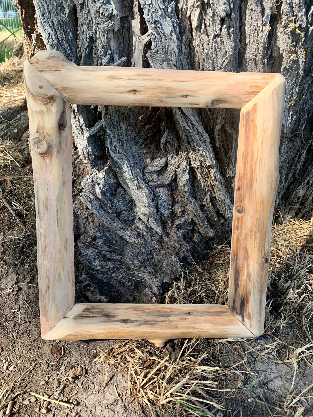 8x10 Log Picture Frames Rustic Picture Frames Juniper Log Etsy