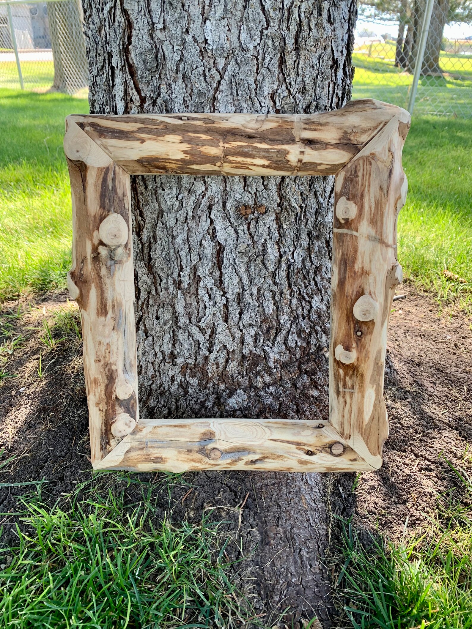 8 X 10 Log Picture Frames Rustic Picture Frame Juniper Log Etsy