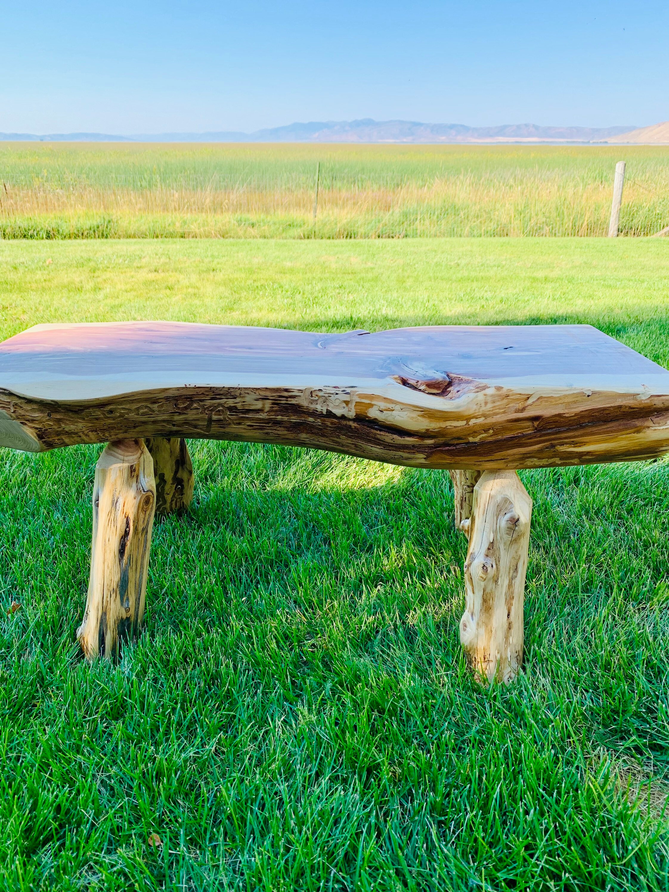 Outdoor Log Bench - Etsy