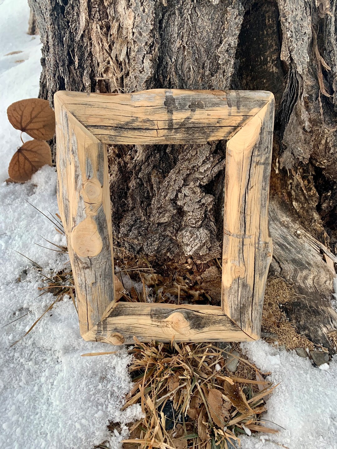 4 X 6 Log Picture Frame Rustic Home Decor Picture Frames Etsy