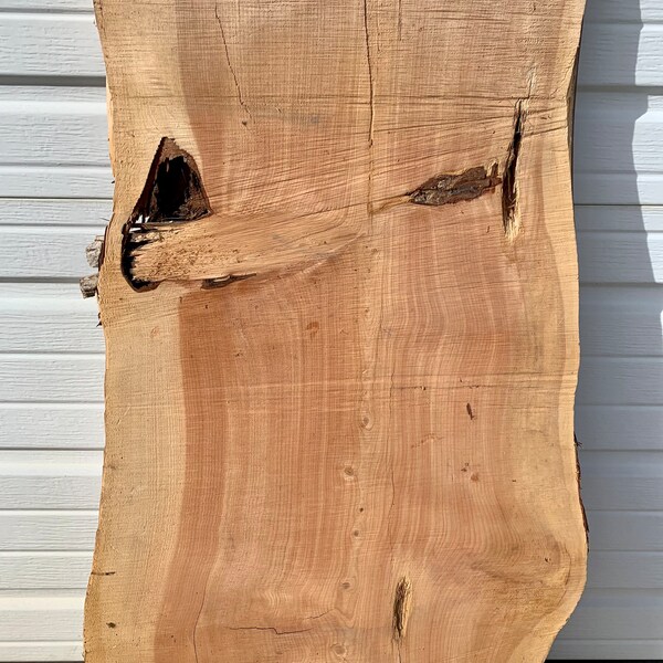 Alligator Juniper Slab Etsy