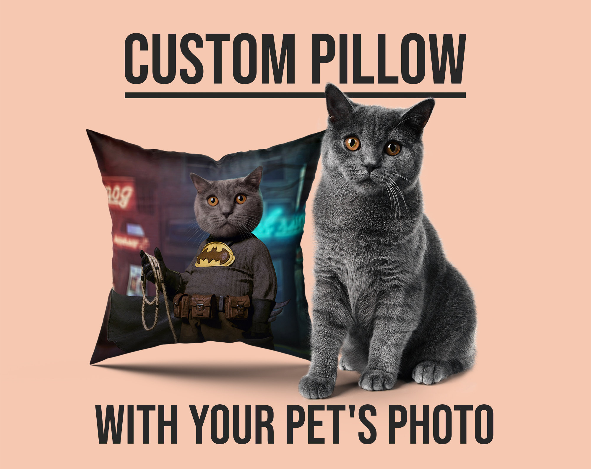 Picture Pillow 